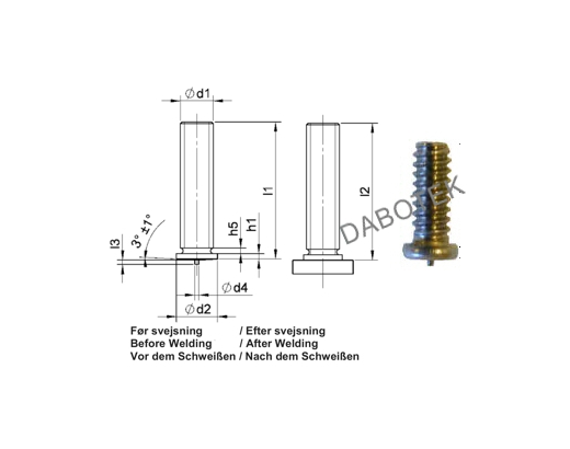 PT Threaded Stud M3x6 Matr. SS304; DIN 13918